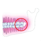 Fig1FȐem炸